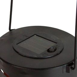 Northlight Seasonal 8in. Owl Outdoor Solar Lantern with Handle
