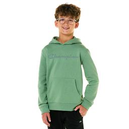 Boys (8-20) Champion(R) Signature Tonal Silicone Hoodie