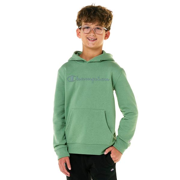 Boys (8-20) Champion(R) Signature Tonal Silicone Hoodie - image 