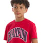 Boys (8-20) Champion® Graphic Tee - Lychee - image 2