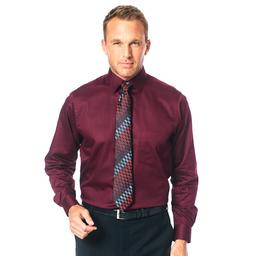 Mens Van Heusen(R) Regular Fit Stretch Dress Shirt - Merlot