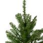 Northlight 4ft. Unlit Northern Pine Artificial Christmas Tree - image 4