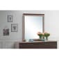 Passion Furniture Classic Rectangle Framed Dresser Mirror - 32x40 - image 7