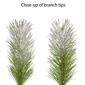 Puleo International 9ft. Pre-Lit Warm White Flocked Garland - image 6