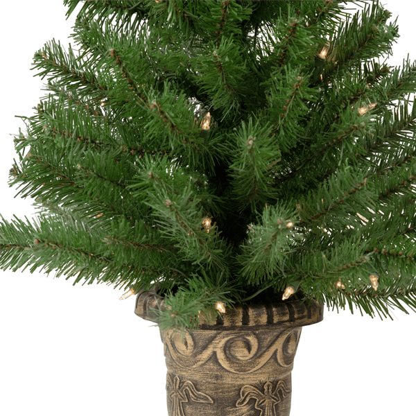 Northlight 5pc. Pre-Lit Wolcott Spruce Christmas Entryway Set