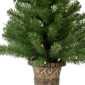 Northlight 5pc. Pre-Lit Wolcott Spruce Christmas Entryway Set - image 5