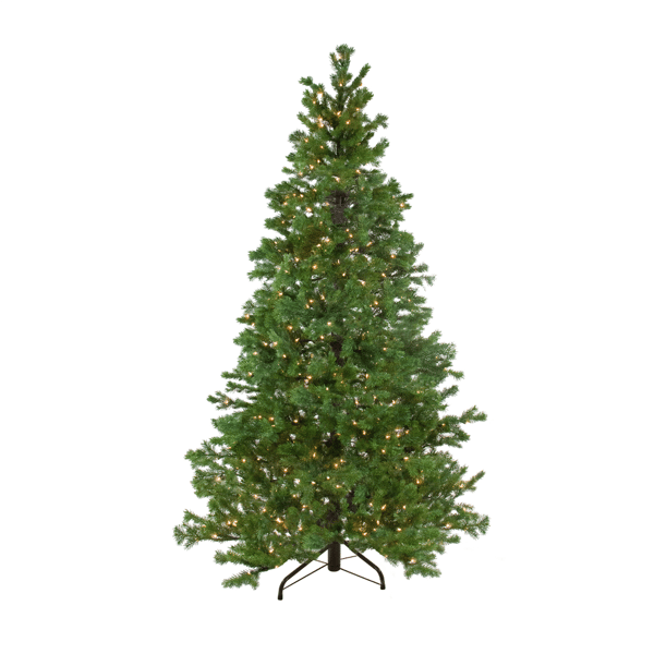 Northlight Real Touch(tm) 6.5ft Pre-Lit Mountain Pine Christmas Tree - image 