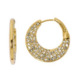 Design Collection Crystal Crescent Hoop Earrings