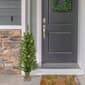 Puleo International Pre-Lit Potted Christmas Trees - Set of 2 - image 2