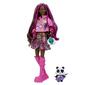 Barbie&#40;R&#41; Pink-Streaked Brunette Hair Doll with Pet Panda - image 1