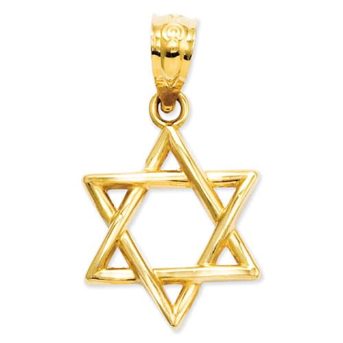 Unisex Gold Classics&#40;tm&#41; 14kt. Polished Star of David Pendant - image 