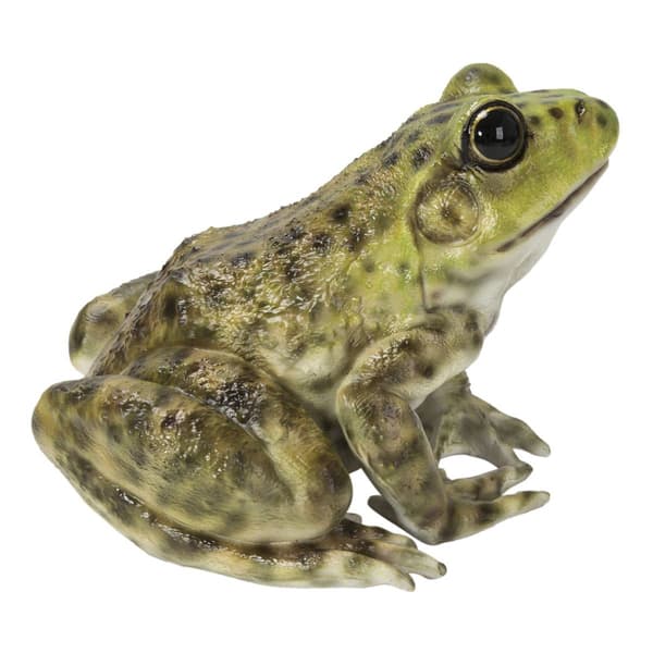 Hi-Line Gift American Bullfrog Garden Statue