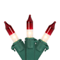 Northlight 20.25ft. Mini Clear with Red Tips Christmas Light Set - image 1