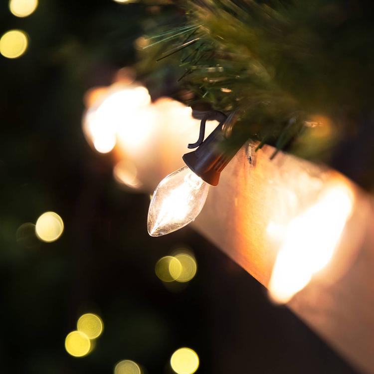 Northlight Seasonal 25ft. Clear C7 Christmas Lights - Brown Wire