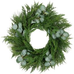 Northlight Seasonal 24in. Eucalyptus Artificial Christmas Wreath