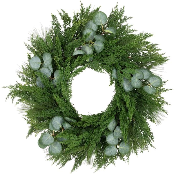 Northlight Seasonal 24in. Eucalyptus Artificial Christmas Wreath - image 