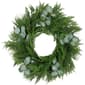 Northlight Seasonal 24in. Eucalyptus Artificial Christmas Wreath - image 1