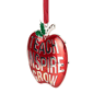 Northlight Red Silver Plated Apple Teacher Christmas Ornament - image 3