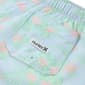 Boys (8-20) Hurley Flamingo Pull On Swim Trunks - image 3