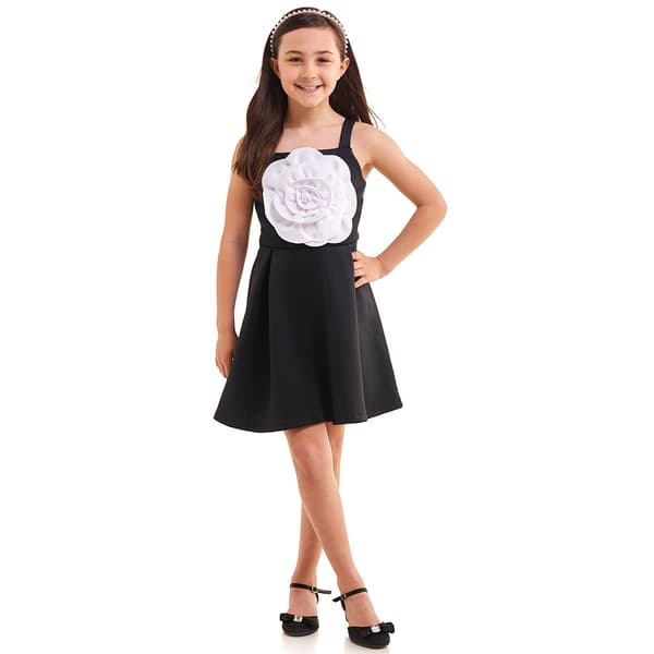 Girls &#40;7-16&#41; Bonnie Jean Sculpted Rose Skater Dress