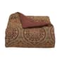 J. Queen New York Harvest Moon 4pc. Comforter Set - image 5
