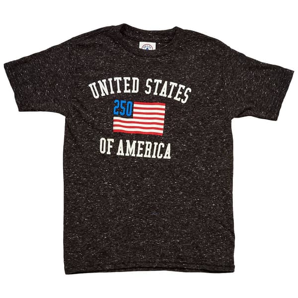 Boys (4-7) 250 Flag USA Short Sleeve Tee - image 