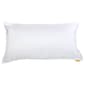 Simmons Pillow Protector - image 1