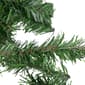 Northlight Seasonal Canadian Pine Artificial Christmas Garland - image 4