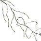Kurt S. Adler 6ft. LED  White Twinkle Frosted Vine Garland - image 1