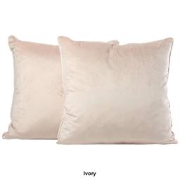 Metro Luxe 2pk. Velvet Feather-Filled Decorative Pillows - 20x20