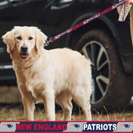 NFL New England Patriots Dog Leash