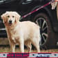 NFL New England Patriots Dog Leash - image 2
