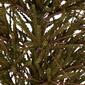 Northlight 4ft. Unlit Warsaw Twig Artificial Christmas Tree - image 4