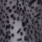 Plus Size Skye’s the Limit Icy Blue Sparkle Leopard Jacket - image 6