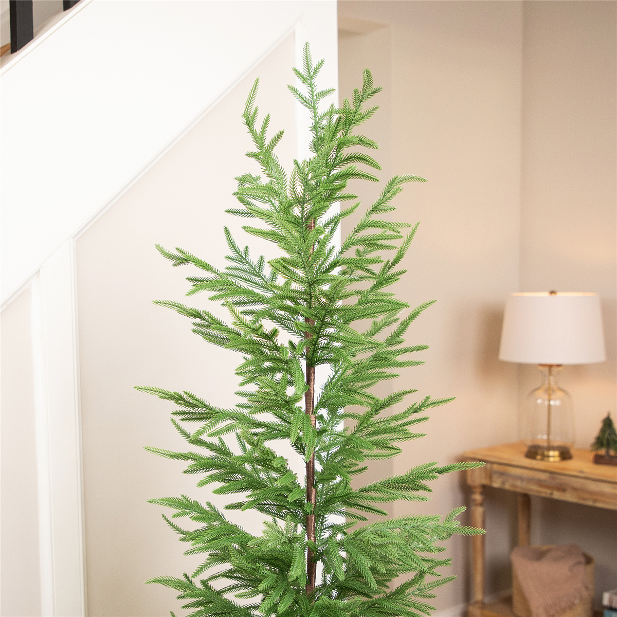 Northlight 6ft. Medium Norfolk Pine Potted Christmas Tree