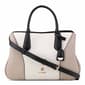 Nine West Bloomfield Satchel - image 1