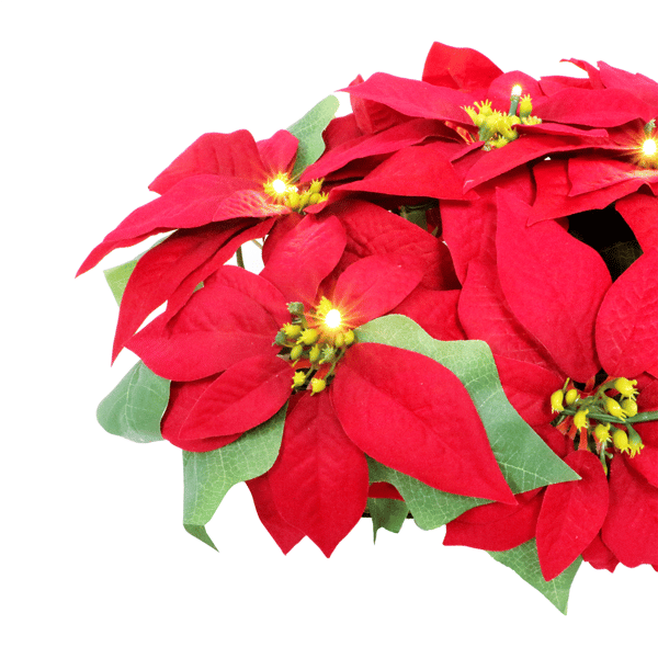Puleo International 24in. Pre-Lit Red Poinsettia Window Box Décor