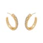 Marsala Gold Plated Crystal C-Hoop Earrings - image 1