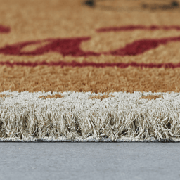Hallmark Holiday Santa Letter Multicolor Outdoor Coir Doormat