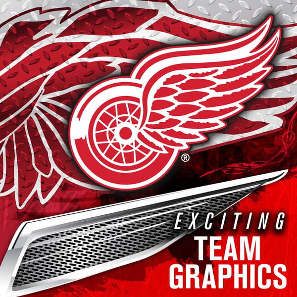 Franklin® GFM 1500 NHL Red Wings Goalie Face Mask