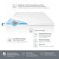 Sealy 2in. Memory Foam Mattress Topper with Cover - image 5