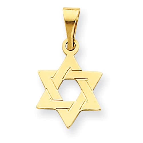 Unisex Gold Classics&#40;tm&#41; 14kt. Star of David Pendant - image 