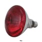 Northlight Seasonal 100 Watt Incandescent Floodlight Bulb - image 4