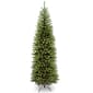 National Tree 14ft. Kingswood(tm) Fir Pencil Tree - image 1