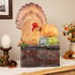 Northlight Seasonal 20.25in. Turkey "Happy Thanksgiving" Décor - image 7
