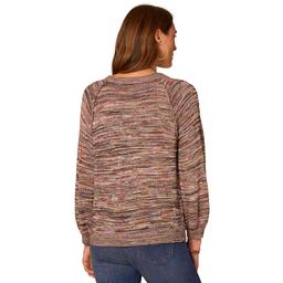Petite Democracy 3/4 Blouson Sleeve Space Dye Sweater