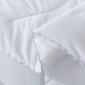 Waverly White Down Comforter - image 4
