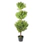 Northlight Seasonal 3.75ft. Murraya Artificial Christmas Tree - image 1