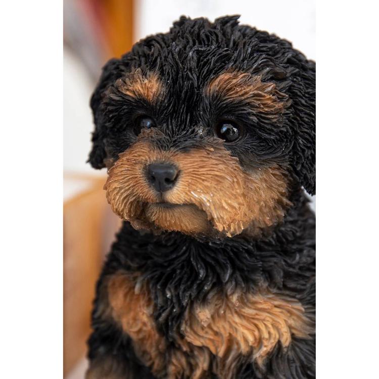 Hi-Line Gift Baby Cavapoo Puppy Garden Statue