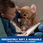 Gund Disney 12.5in. Oh So Snuggly Kanga & Roo Plush - image 3